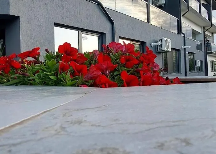 Anelisse Észak-Eforie